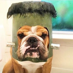 Meet your Posher, Diego